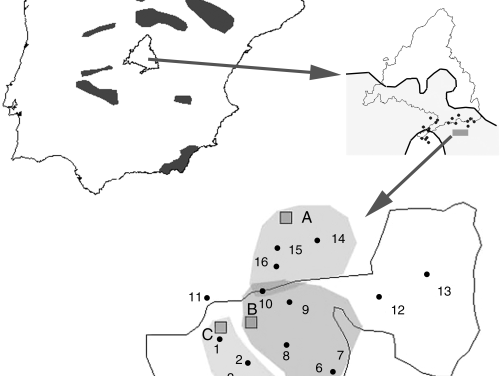 Lobo et al. (2006 Div Distr) Regional and local influence of grazing activity on a semiarid dung beetle community