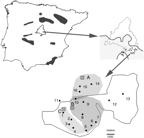 Lobo et al. (2006 Div Distr) Regional and local influence of grazing activity on a semiarid dung beetle community