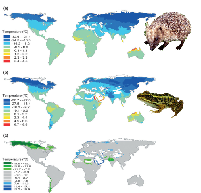 Olalla-Tárraga et al. (2011 J Biogeogr) Climatic niche conservatism and the evolutionary dynamics in species range boundaries