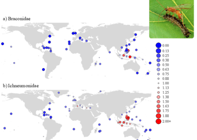 Santos et al. (2011 J Biogeogr) Species pool structure determines the level of generalism of island parasitoid faunas