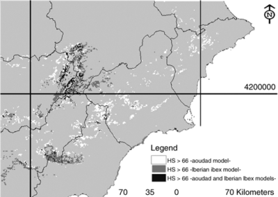 Acevedo et al. (2007 Div Distr) Invasive exotic aoudad as a major threat to native Iberian ibex