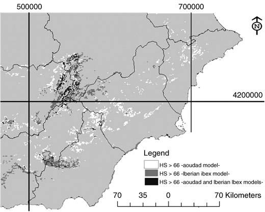 Acevedo et al. (2007 Div Distr) Invasive exotic aoudad as a major threat to native Iberian ibex