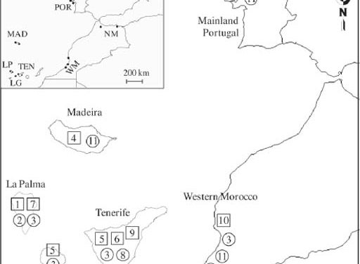Santos et al. (2011 Oikos) Richness and level of generalism in parasitoids of a microlepidopteran in Macaronesia