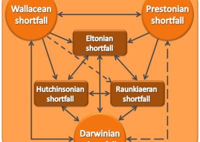 Hortal et al (Ann Rev Ecol Evol Syst 2015) Seven shortfalls that beset large-scale knowledge of biodiversity
