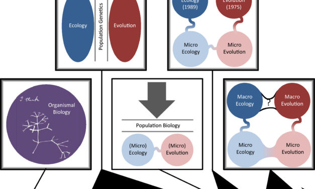 McGill et al (Global Ecol Biogeogr 2019) Unifying macroecology and macroevolution