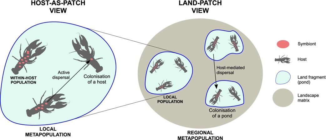 Mestre et al (Biol Rev 2020) A niche perspective on the range expansion of symbionts