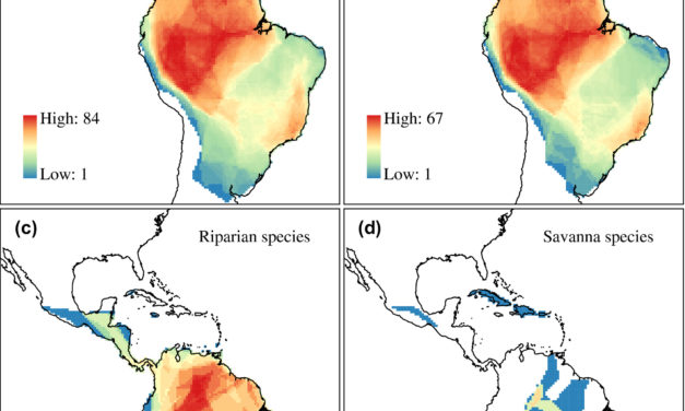 Meyer et al (Global Ecol Biogeogr 2020) Canopy height explains species richness of Neotropical lianas