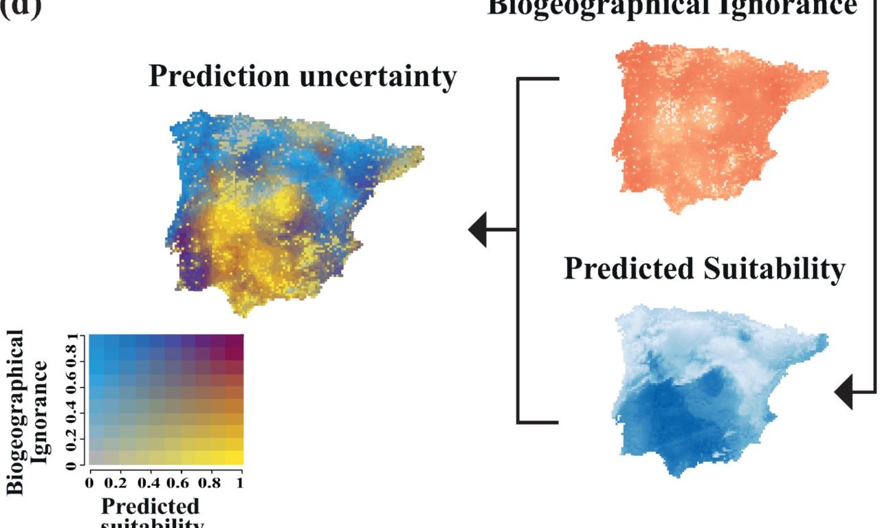 Tessarolo et al (Ecography 2021) Using maps of biogeographical ignorance in species distribution models